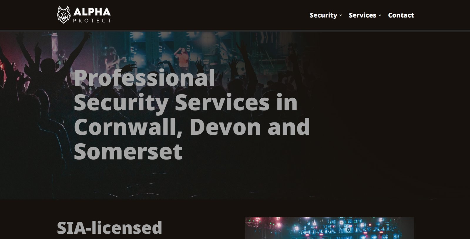Old website — before